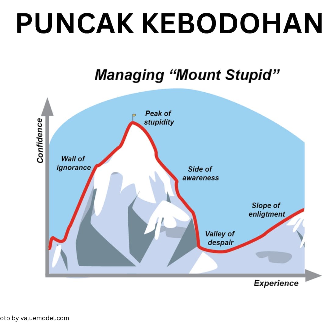 Puncak Kebodohan ( Mount Stupid)